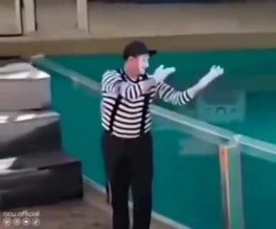 Mr mime