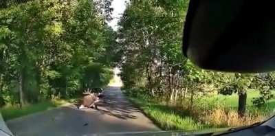 Driving In Poland