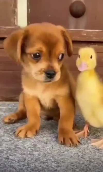 My little friend ✨&hearts;️