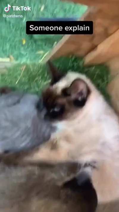 Activating stealth mode