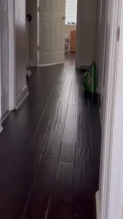It&rsquo;s the Wild, Wild West in the middle of my house&hellip;