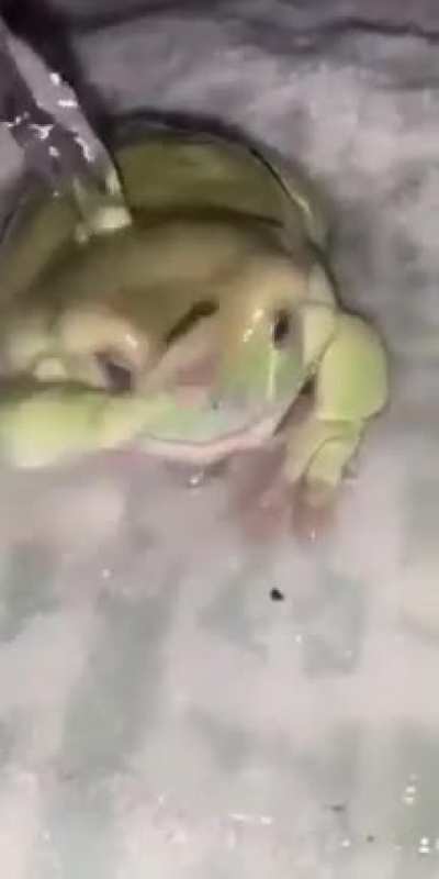 "Eshullio Bathing Time"