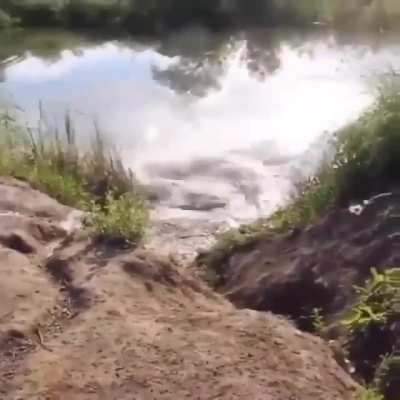 Driving a bike of a ramp into water
