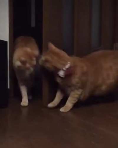 Surprise!