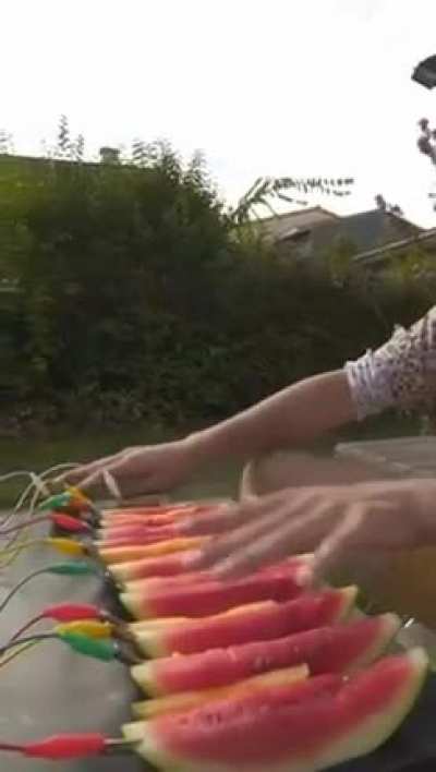 watermelon