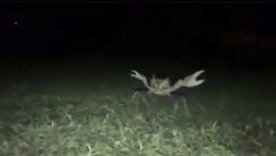 where&rsquo;d he go