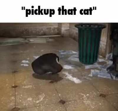 Cato