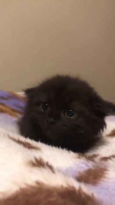 Rare footage of airplane ears charging in preparation for take off