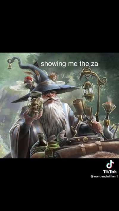 regular wizard shit