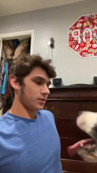 You gay bro??
