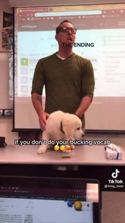 Credit: king_base on TikTok