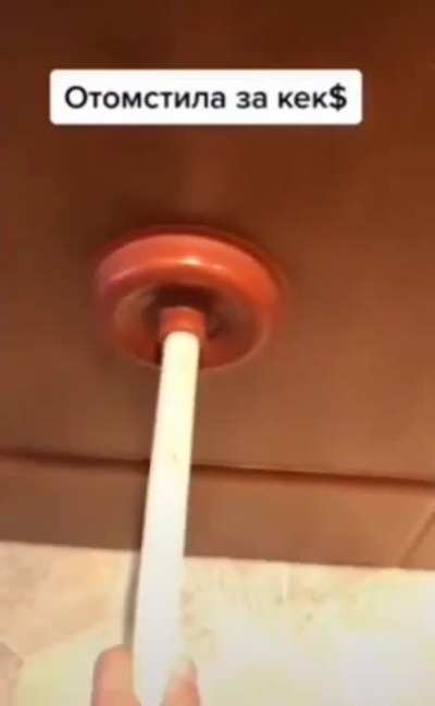 Plunger