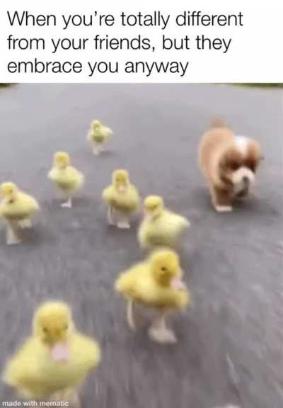 Real friends don't judge