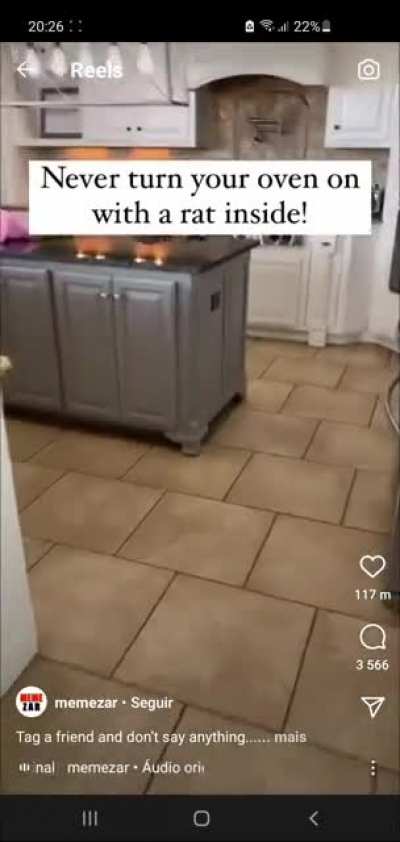 Dinner's ready