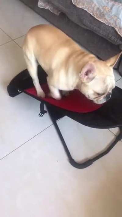 When Bulldog is retired