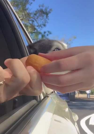 Extremely angry expression when the donut fell