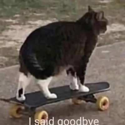 Oh no