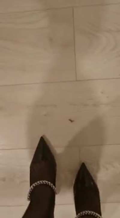Jimmy Choo in action. Bundle of 200 clips avaliable for sale for 60&euro;
