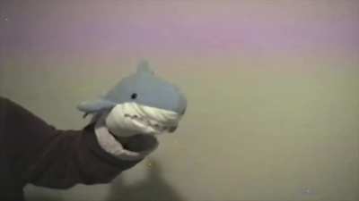 "What are you talking about, Mr. Shark?"