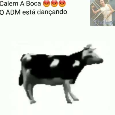 Pare agora e reverencie se ao adm