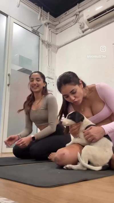 Puppy Cafe View