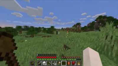 First time playing minecraft