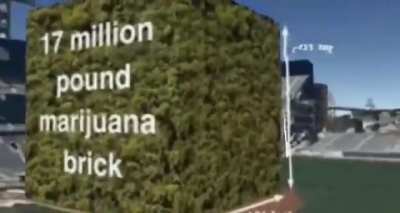 17 million pound marijuana block