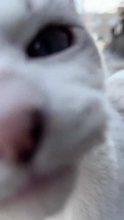 I got yelled at for secretly filming (volume warning)