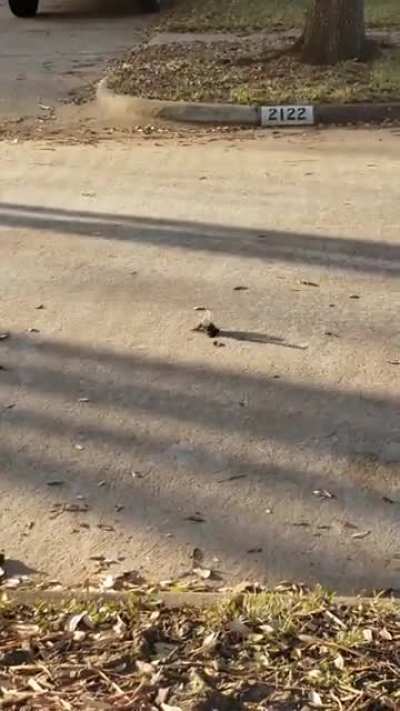 I saw this while walking to school today... Scared me a bit.
