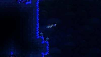 TRUFFLE WORM FLIP