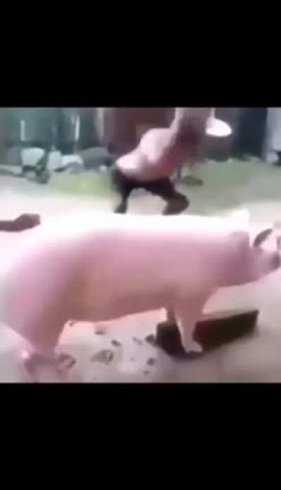 thanks i hate it