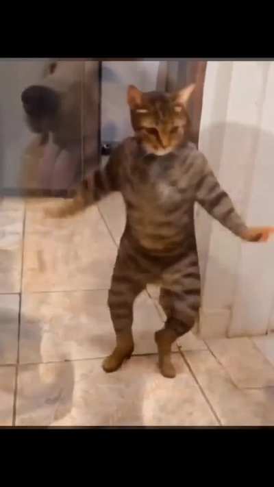 Que porra &eacute; essa&sup2;