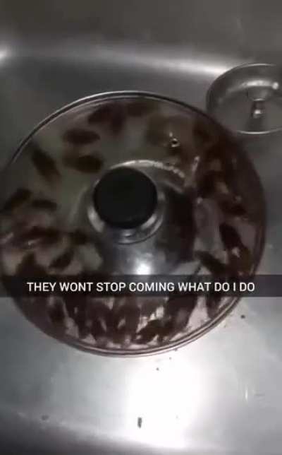 What Should i do