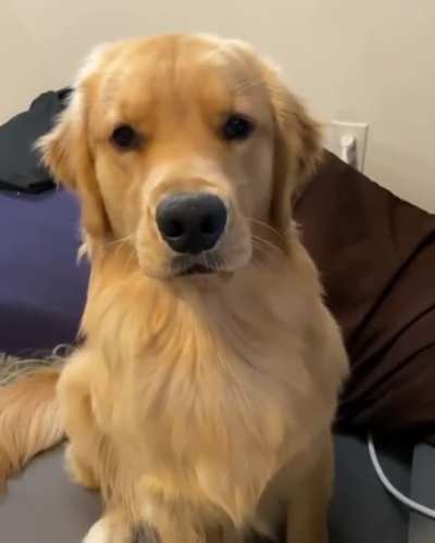 Don't stop human