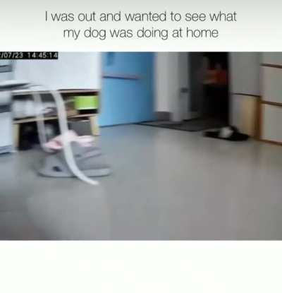 Whatcha doin&rsquo;&hellip;