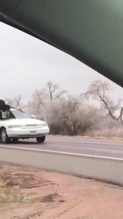 Meanwhile in Texas...