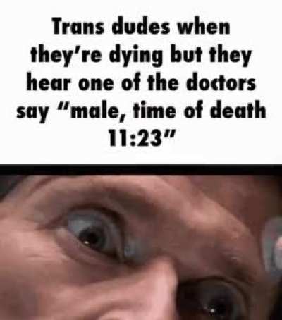 Trans bros be like