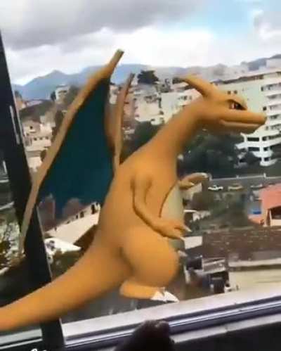 meu pokemon chatão KKKKKKKKKK