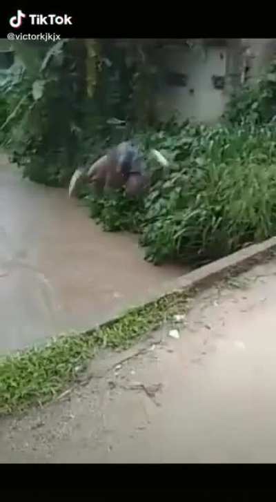 nada melhor do que dar uma bela refrescada