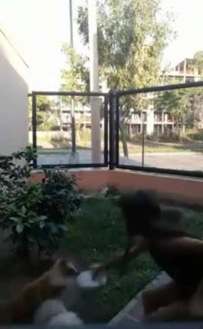 Recuerdo cuando mire este video en 2018 con un compa XDDDDDDD