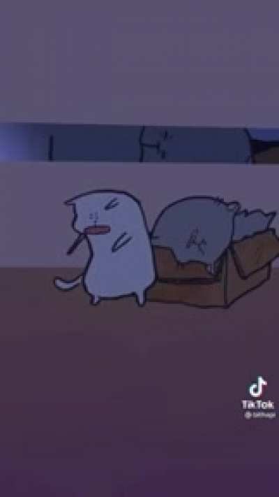 Cat owners may understand..