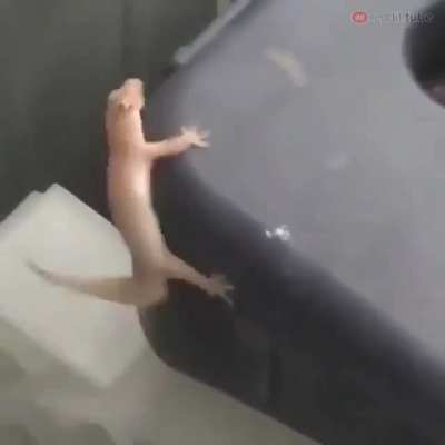 &rlm;&rlm;&rlm;&rlm;&rlm;&rlm;&rlm;&rlm;