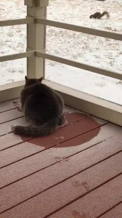 Making of a snow angel.