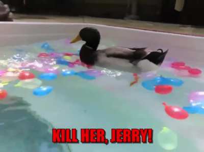 Jerry the killer