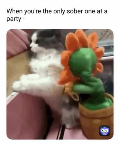 Leave me alone.