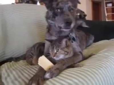 Together again