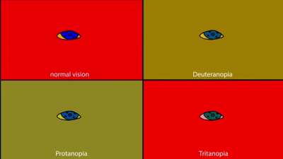 Im 15 and I spent 20 hours making these animations to simulate and compare what color blindness looks like. Each frame of animation is hand drawn so I had to redraw them over 140 times. Ill answer every single question anyone wants to ask about anything e