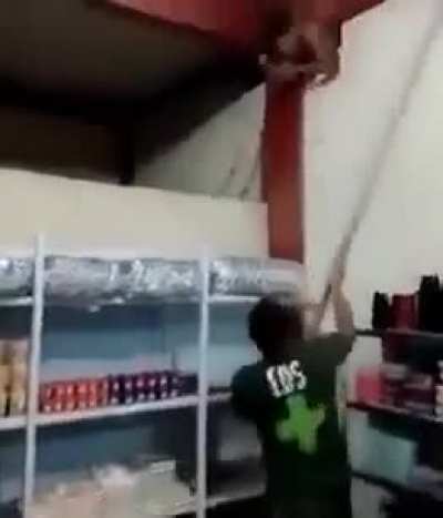 Imagine waking up at 3am and having a pi&ntilde;ata inside your house.