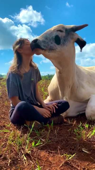 "Good Human"