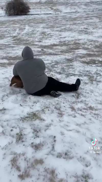 Dogs doing what they do best and ruining everyone&rsquo;s day